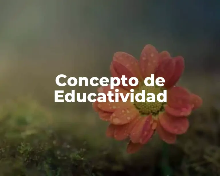 Concepto de Educatividad