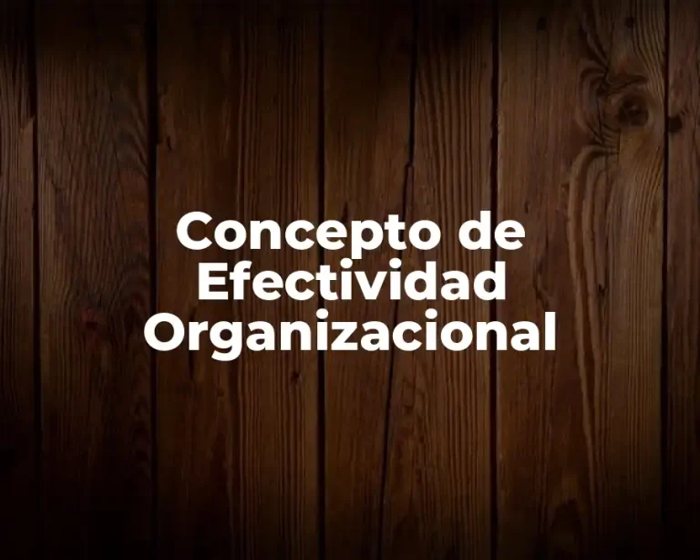 Concepto de Efectividad Organizacional