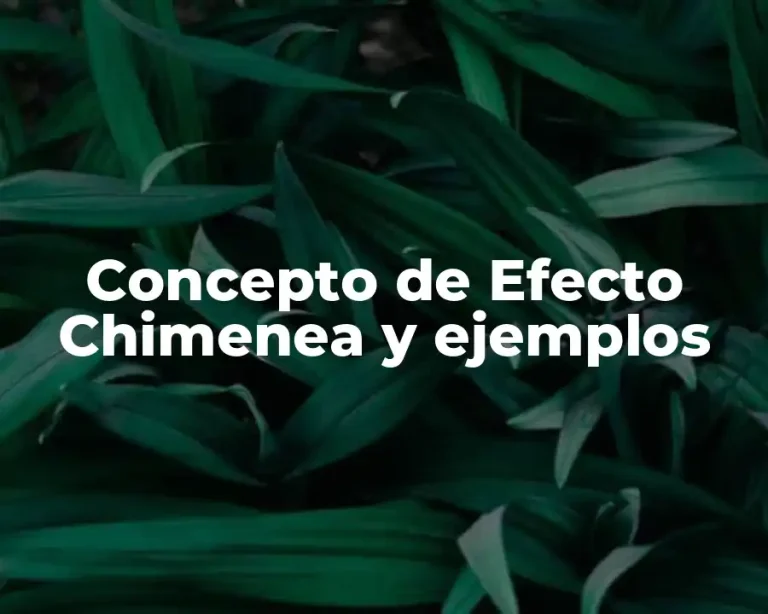 Concepto de Efecto Chimenea y ejemplos
