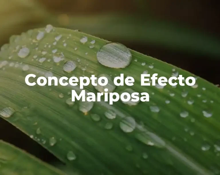 Concepto de Efecto Mariposa