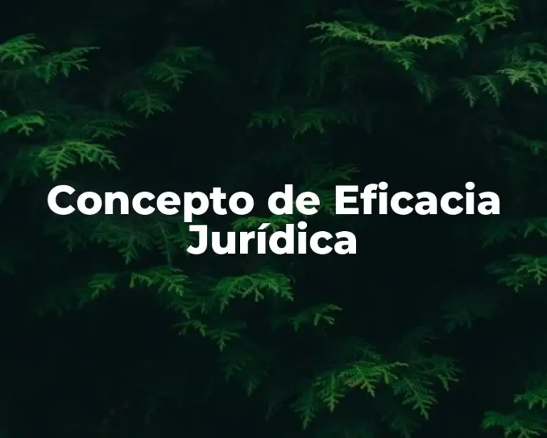 Concepto de Eficacia Jurídica