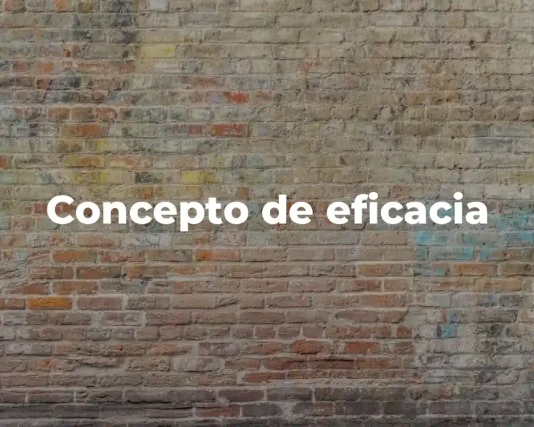 Concepto de eficacia