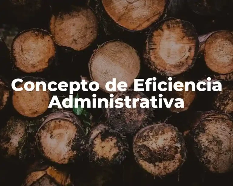 Concepto de Eficiencia Administrativa