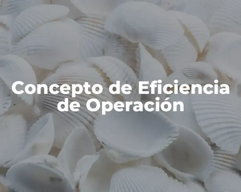 Concepto de Eficiencia de Operación
