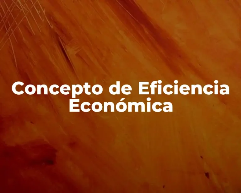 Concepto de Eficiencia Económica