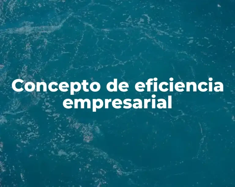 Concepto de eficiencia empresarial
