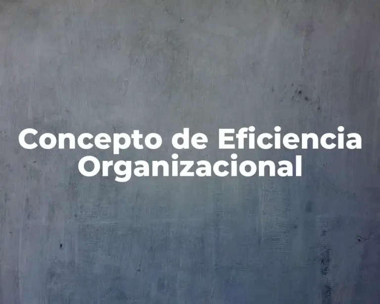 Concepto de Eficiencia Organizacional