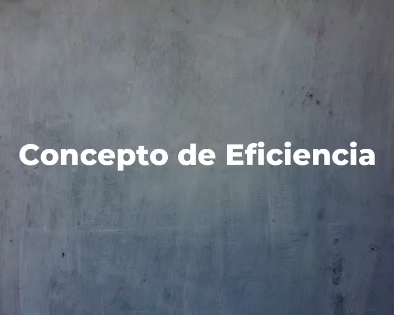 Concepto de Eficiencia
