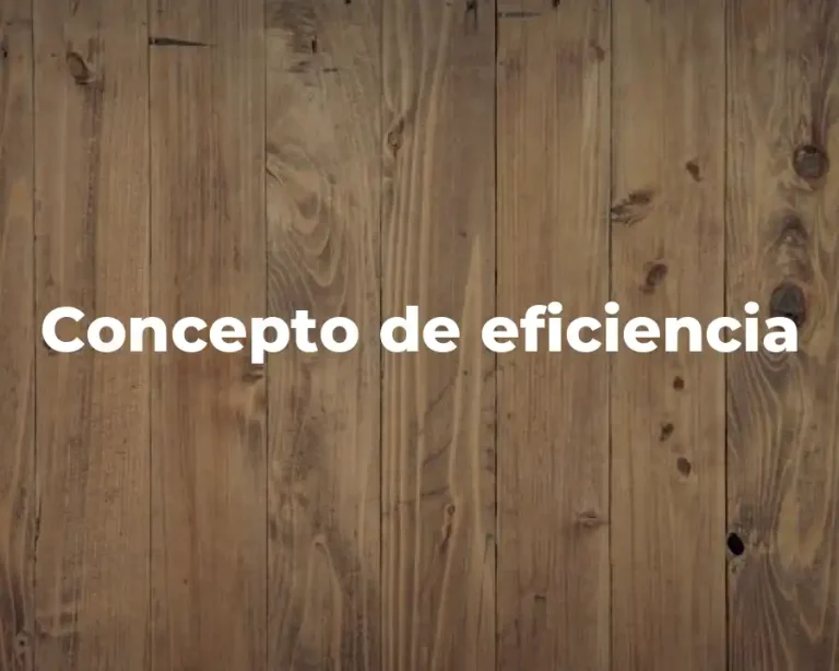 Concepto de eficiencia