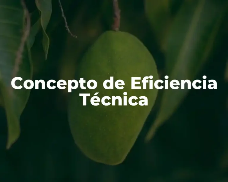 Concepto de Eficiencia Técnica