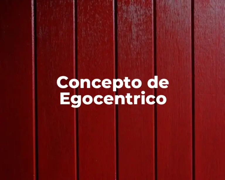 Concepto de Egocentrico
