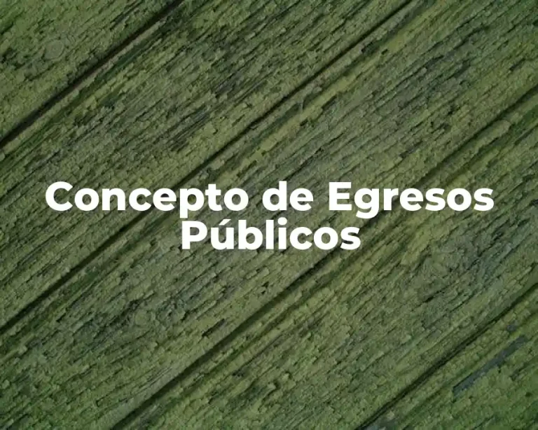 Concepto de Egresos Públicos
