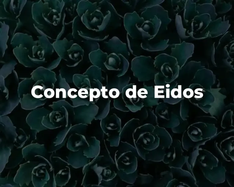 Concepto de Eidos