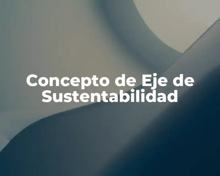 Concepto de Eje de Sustentabilidad