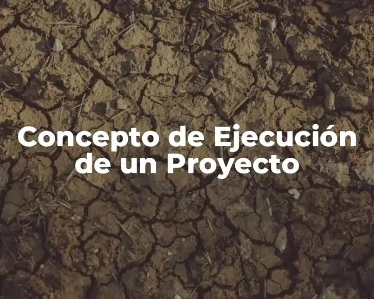 Concepto de Ejecución de un Proyecto