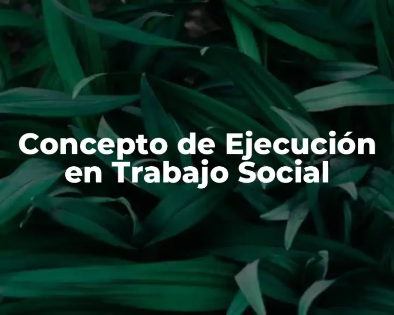 Concepto de Ejecución en Trabajo Social