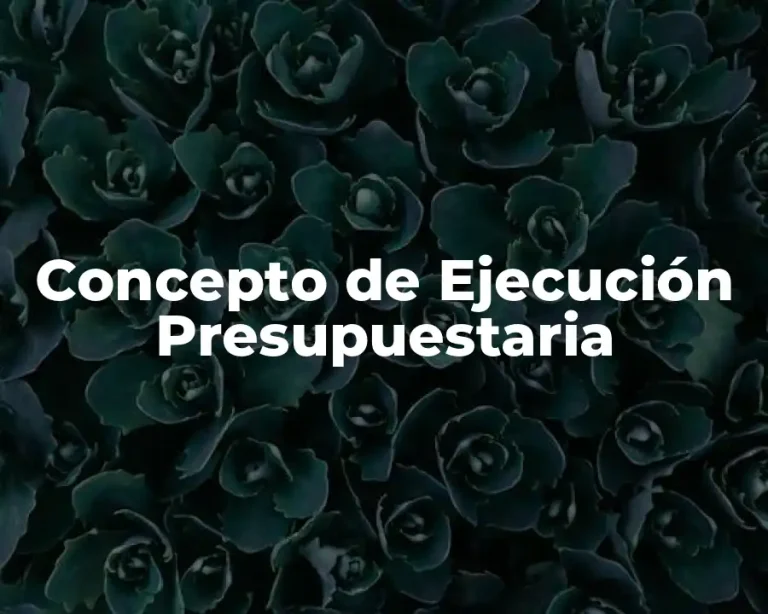 Concepto de Ejecución Presupuestaria