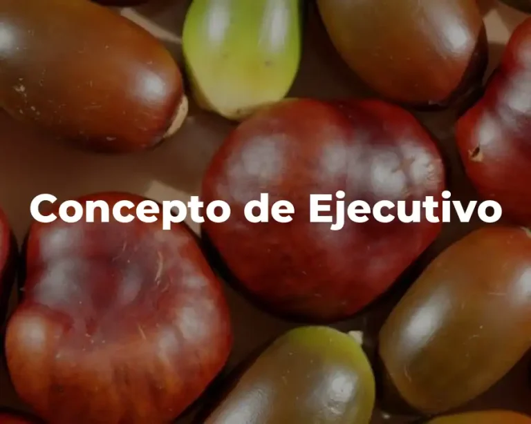 Concepto de Ejecutivo