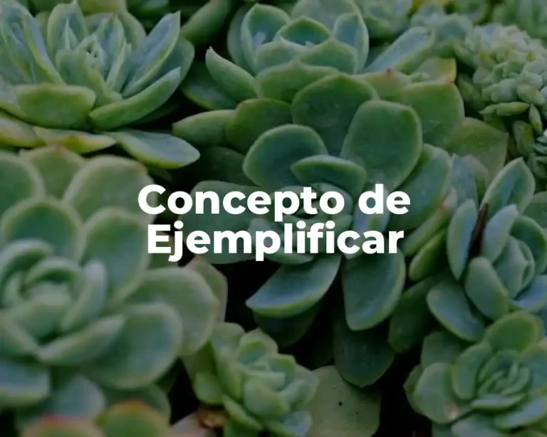 Concepto de Ejemplificar