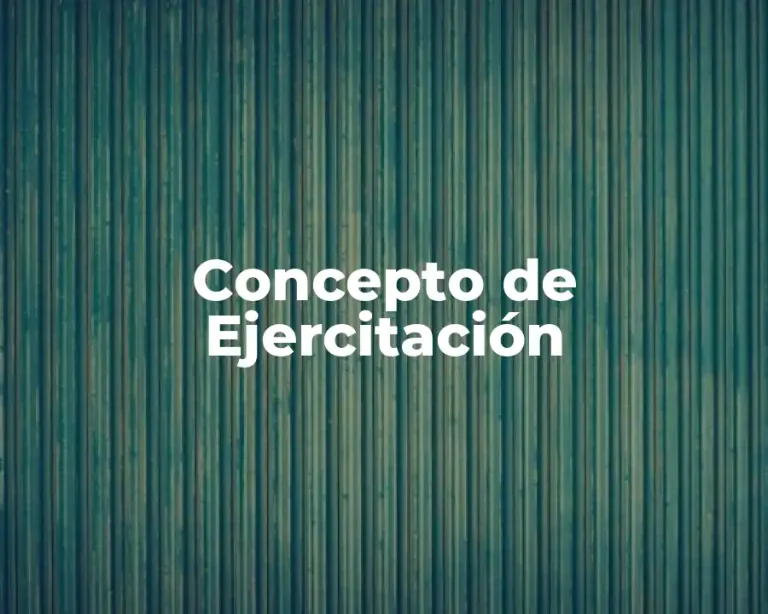 Concepto de Ejercitación