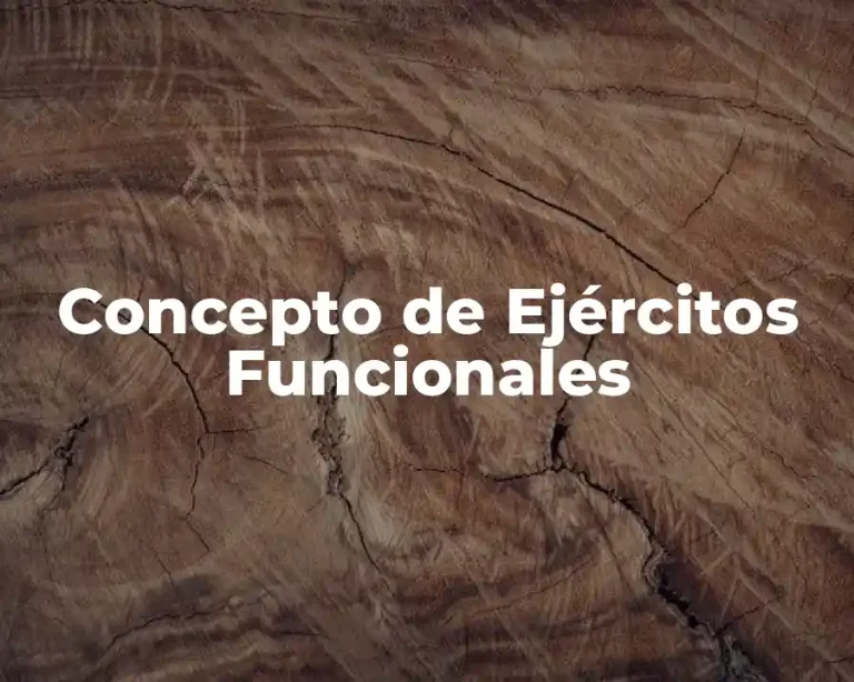 Concepto de Ejércitos Funcionales