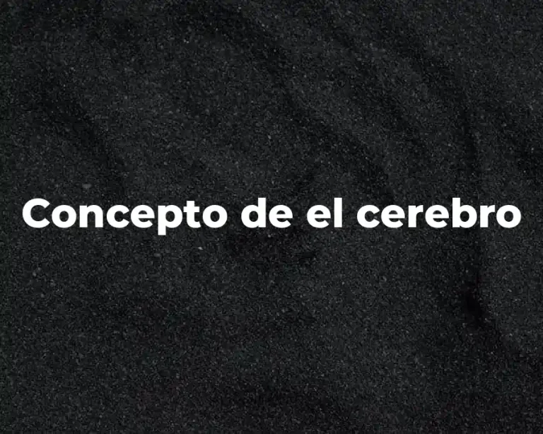 Concepto de el cerebro