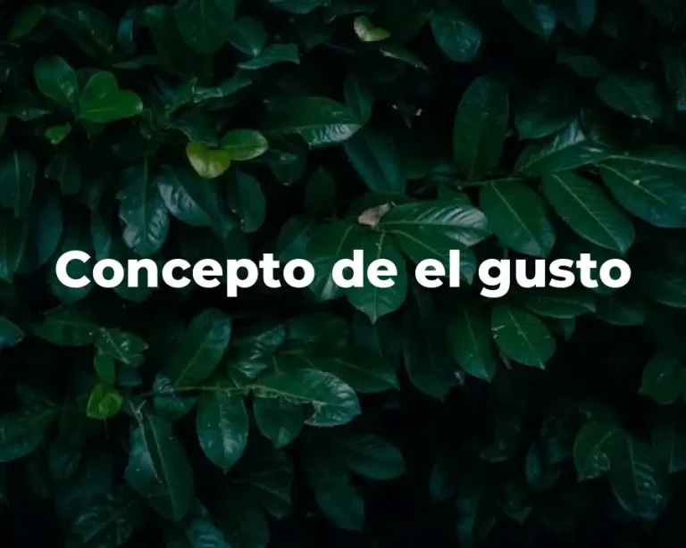 Concepto de el gusto