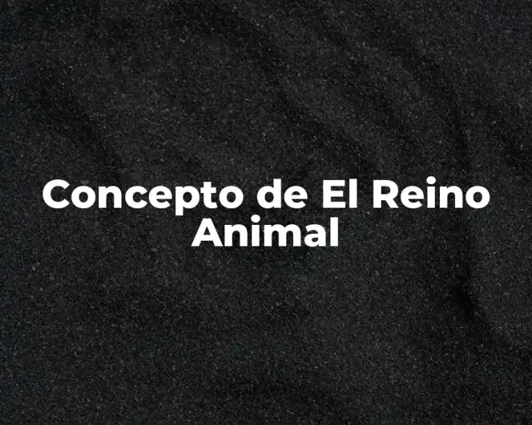 Concepto de El Reino Animal
