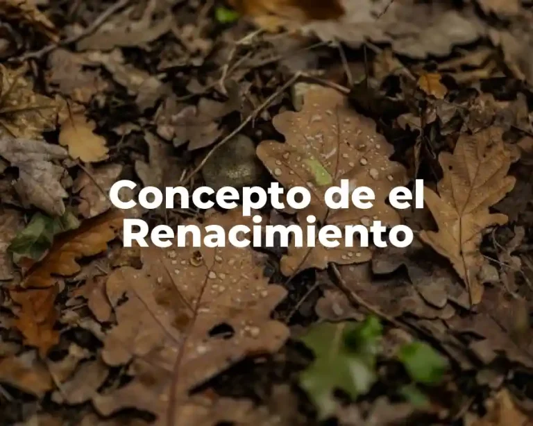 Concepto de el Renacimiento