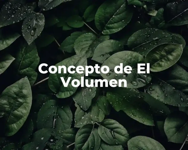 Concepto de El Volumen