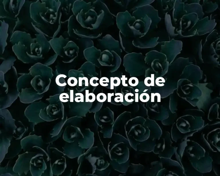 Concepto de elaboración