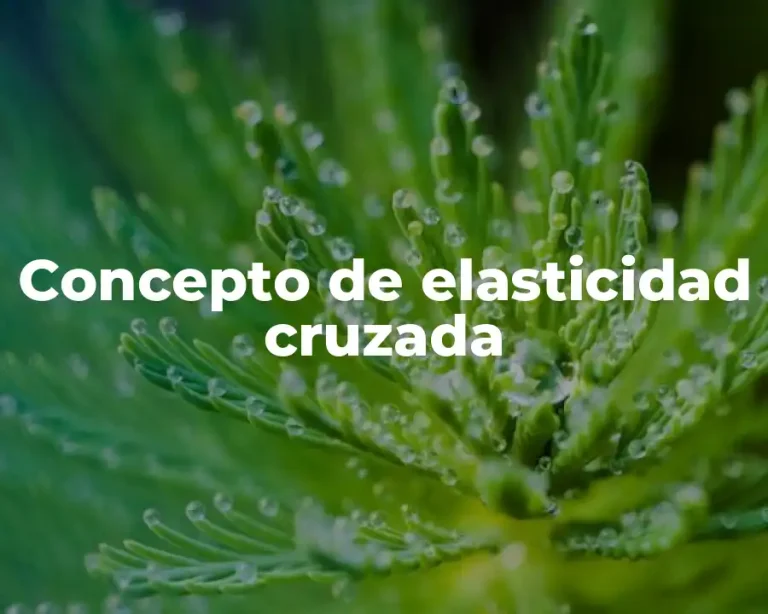 Concepto de elasticidad cruzada