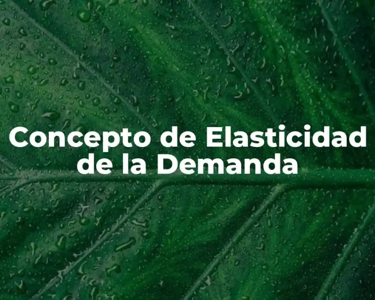 Concepto de Elasticidad de la Demanda
