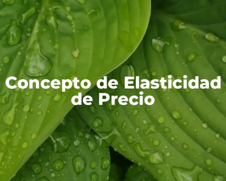 Concepto de Elasticidad de Precio