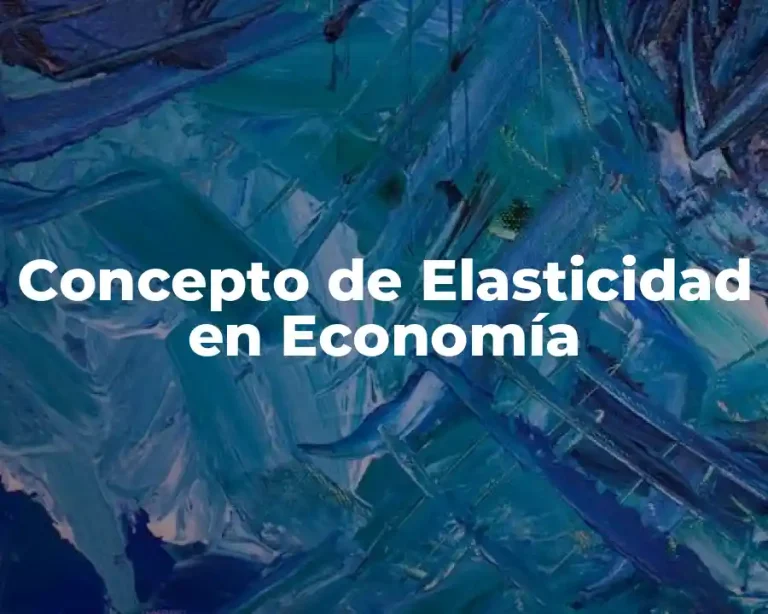 Concepto de Elasticidad en Economía