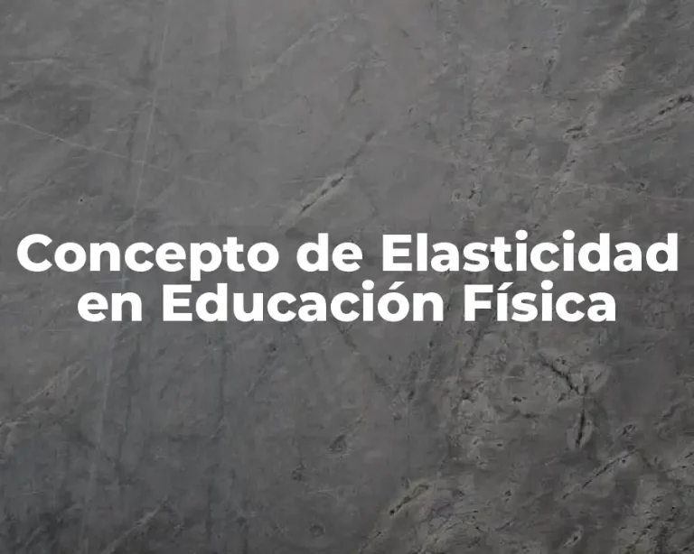 Concepto de Elasticidad en Educación Física