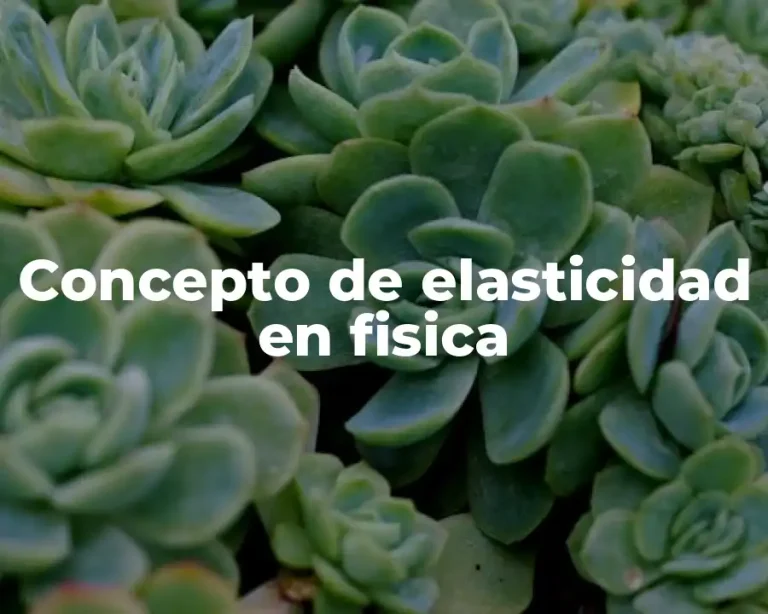 Concepto de elasticidad en fisica