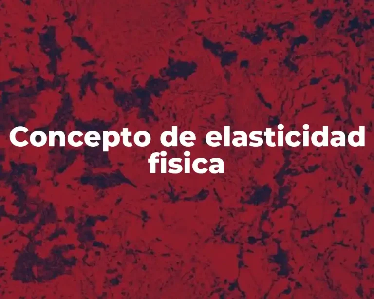 Concepto de elasticidad fisica