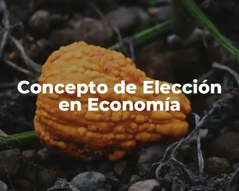 Concepto de Elección en Economía