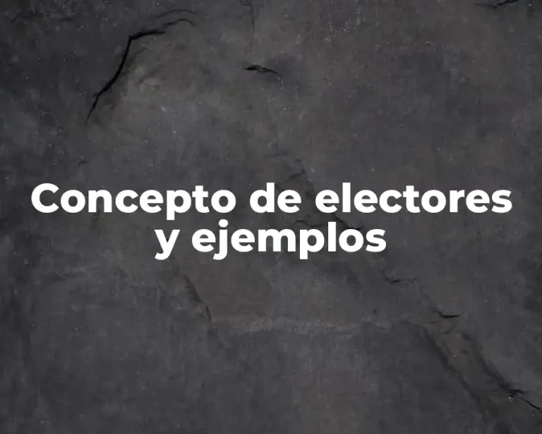 Concepto de electores y ejemplos