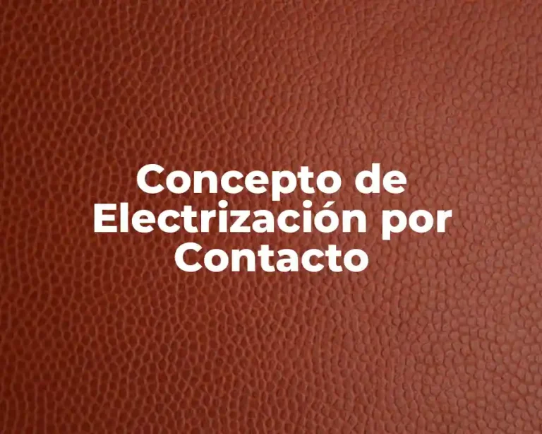 Concepto de Electrización por Contacto