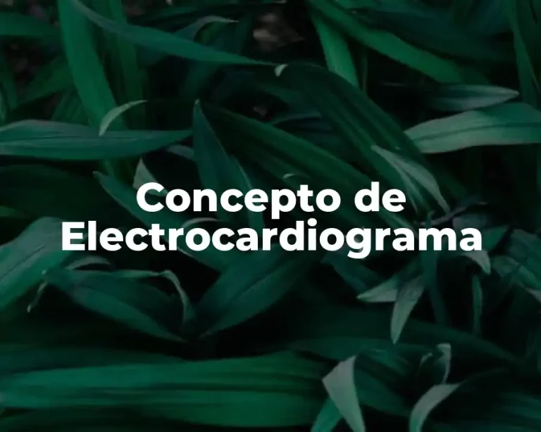 Concepto de Electrocardiograma