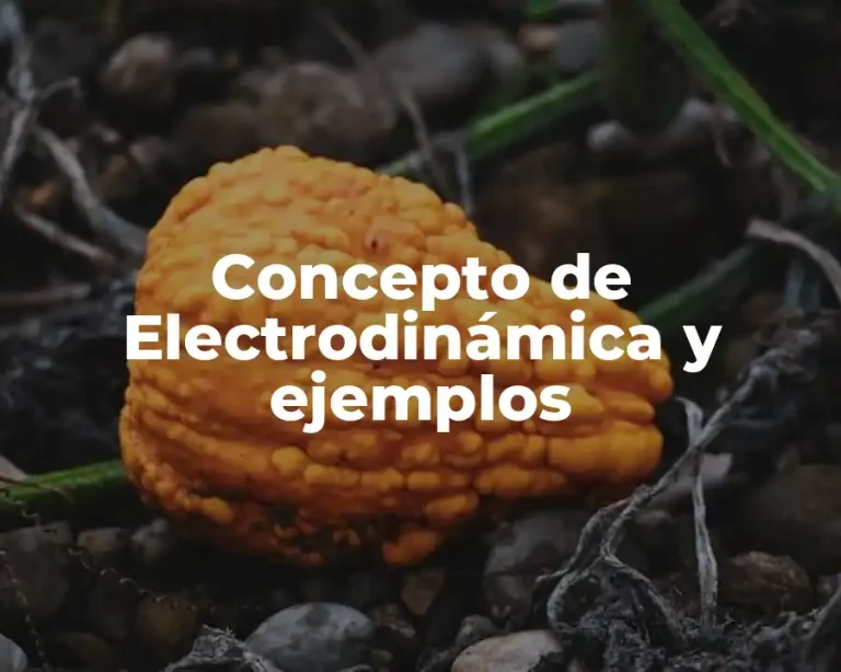 Concepto de Electrodinámica y ejemplos