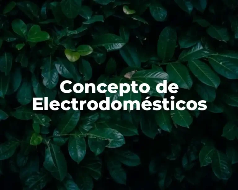 Concepto de Electrodomésticos