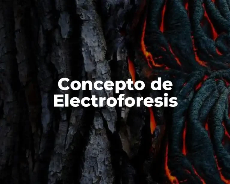 Concepto de Electroforesis