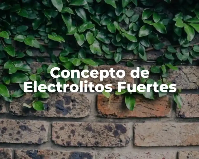 Concepto de Electrolitos Fuertes