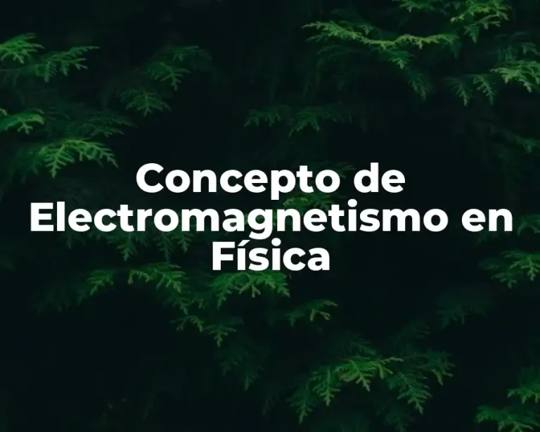 Concepto de Electromagnetismo en Física