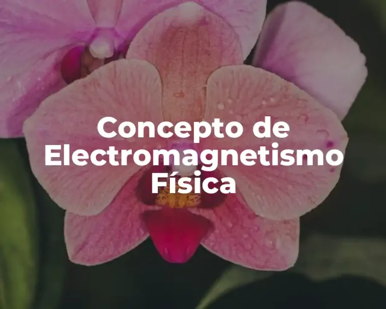 Concepto de Electromagnetismo Física