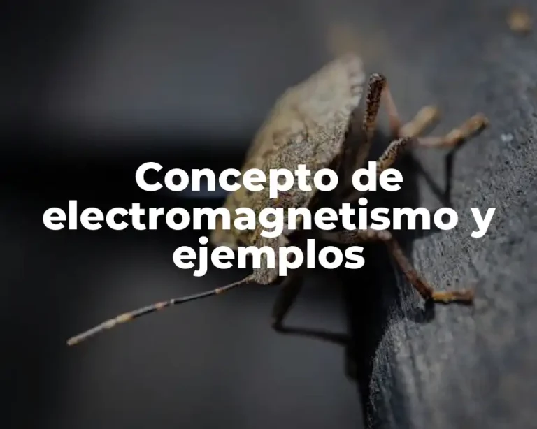 Concepto de electromagnetismo y ejemplos