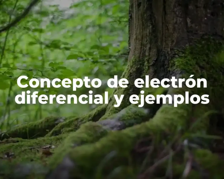 Concepto de electrón diferencial y ejemplos